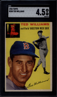 8092e369-ted-williams_105o09a05i09a003000000