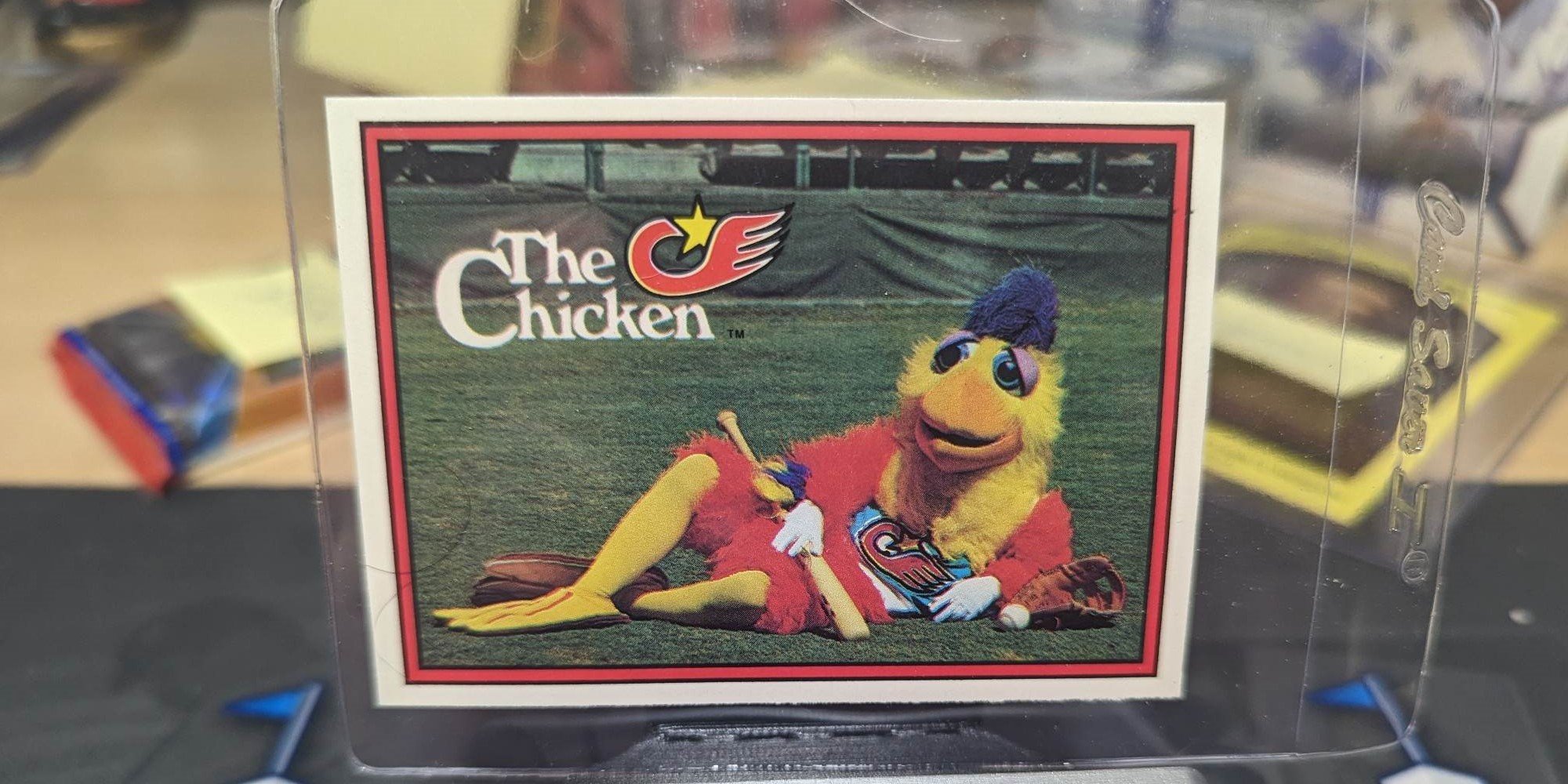 San Diego Chicken Card Pulled from 1982 Donruss Pack by Vintage Breaks